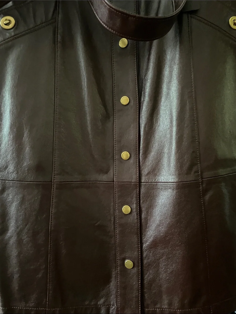 Coach Dark Brown Leather Skirt with Gold-Tone Hardware